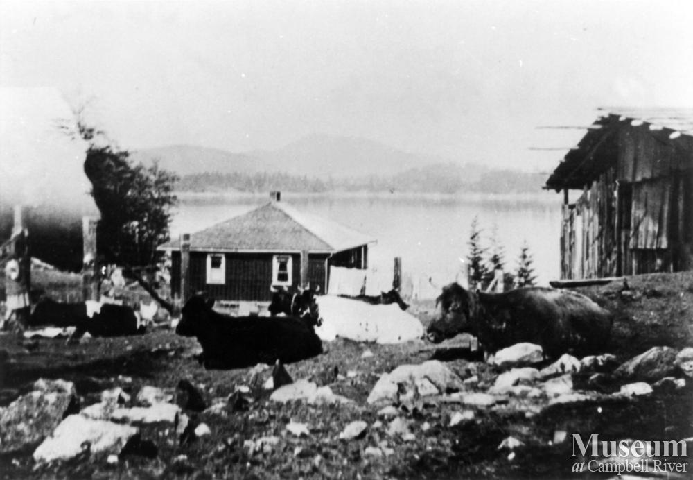 Tipton's house at Surge Narrows, Read Island Campbell River Museum Islands Photo Gallery