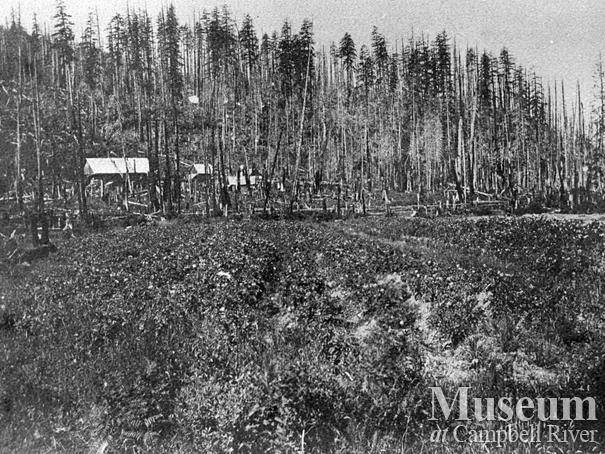 Stenfors homestead, Granite Bay, Quadra Island