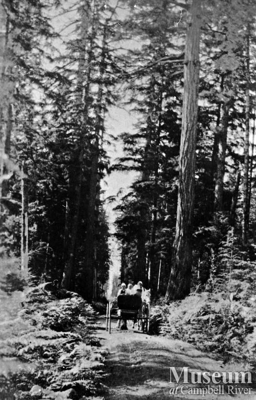 Horse and cart on dirt road, Quadra Island 