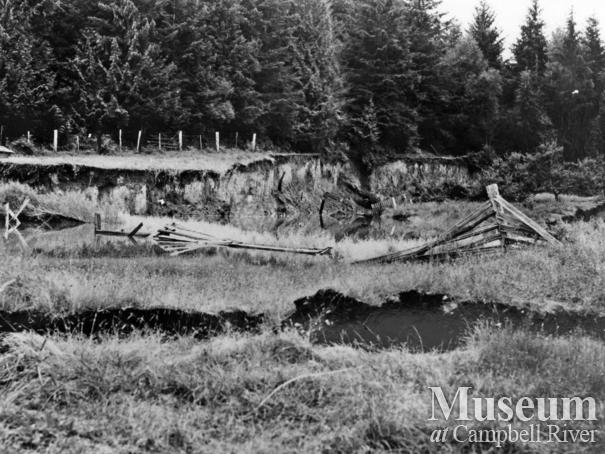 Damaged ground after 1946 earthquake, Read Island