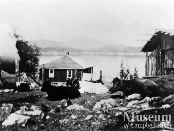 Tipton's house at Surge Narrows, Read Island