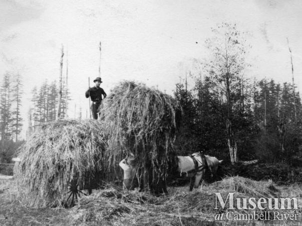 Harvesting time at the Yeatmans' Sunny Side Farm, Quadra Island