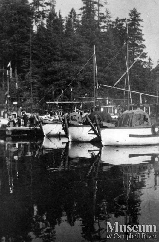 Gillnet Boat fleet at Deepwater Bay, Quadra Island, 1949