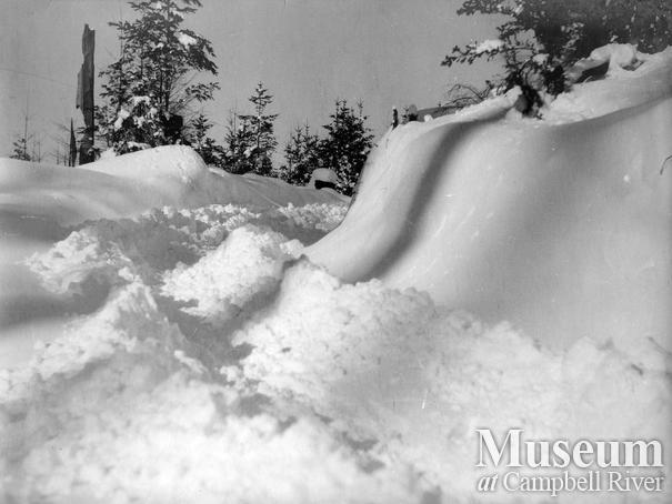 Snowfall near the Twidle home, Granite Bay, Quadra Island