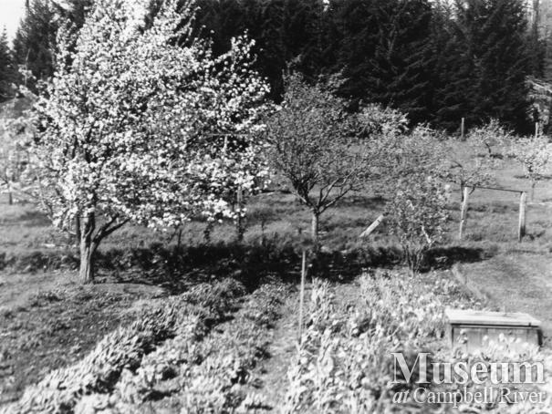 Likely Henry Twidle's Garden at Granite Bay