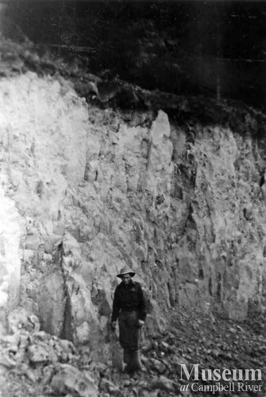Earthquake damage on Read Island