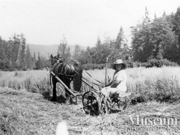 Flo McKay mowing hay around Gunflint Lake, Cortes Island