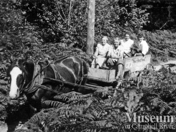 Horse and cart on the road to Mansons Landing