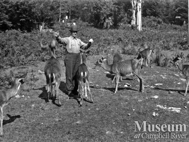 Tom Brazil and his deer at his home at Blind Bay, Hardy Island