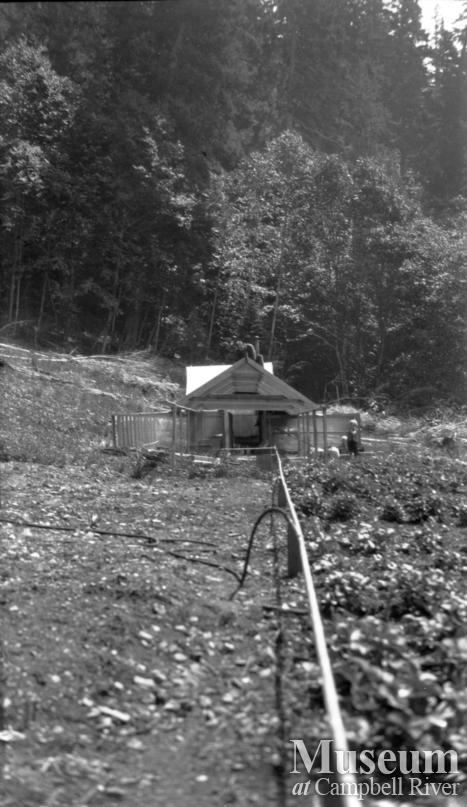 Animal cages and water line Schnarr homestead, Bute Inlet,1920’s 