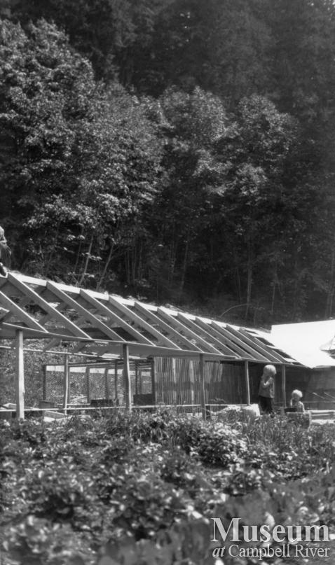 Animal cages at Schnarr homestead, Bute Inlet, 1920’s	