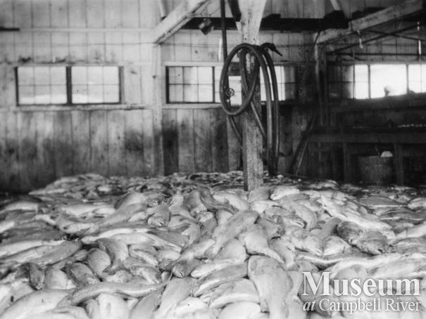 Interior view of the Quathiaski Cannery, Quadra Island