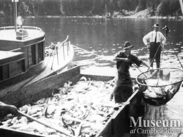 Unloading a catch of salmon at the Quathiaski Cannery, Quadra Island	
