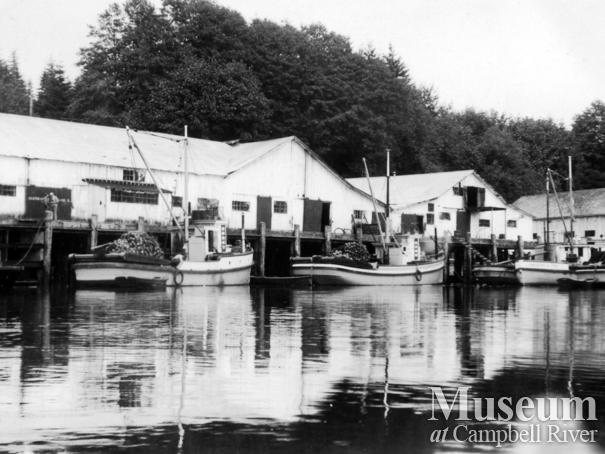 View of the Quathiaski Canning Co. seine boats tied up along side cannery