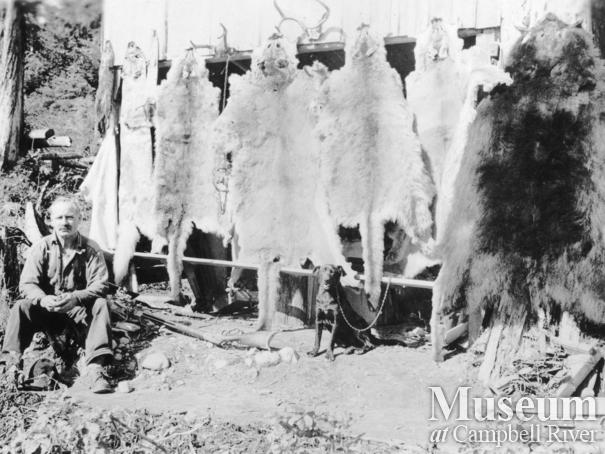 Animal skins at Mr. Chapman's house, Stuart Island