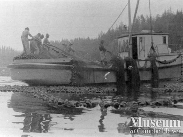 Quathiaski Canning Company seine boat