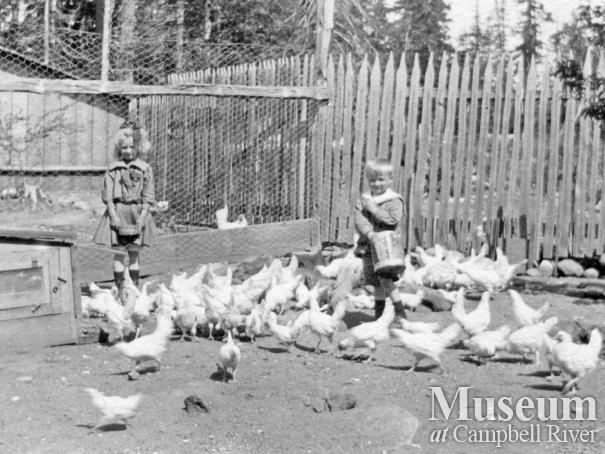 Children with the chickens at farm at Whaletown, Cortes Island